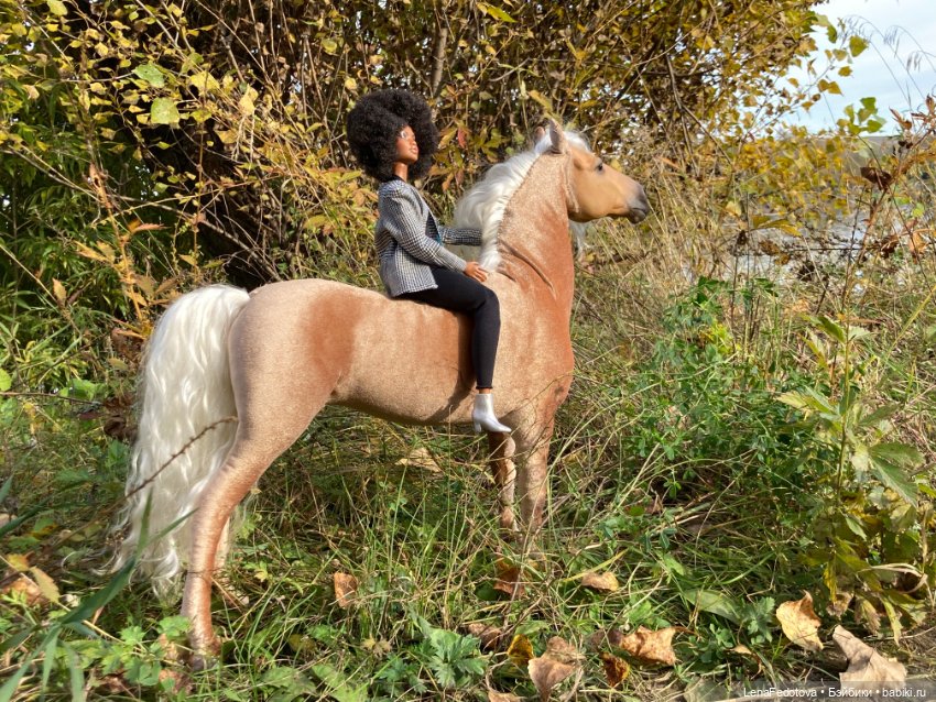 Соловая лошадка Метелька и моя любимая Пышка (фото 4)