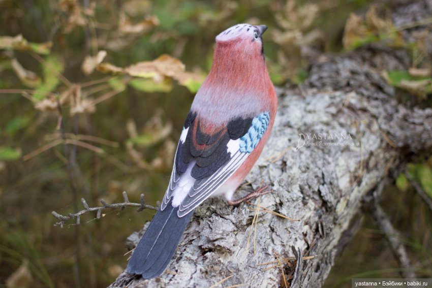 Сойка — Валяные игрушки из шерсти: сухое валяние