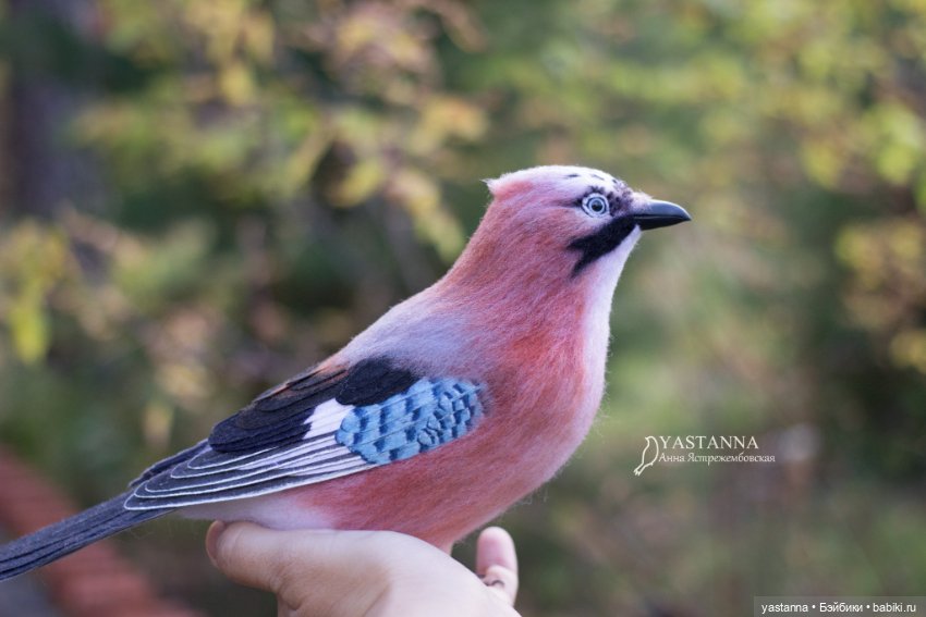 Сойка — Валяные игрушки из шерсти: сухое валяние (фото 8)