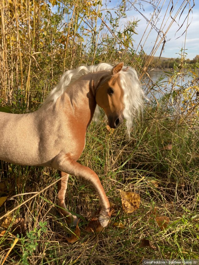 Соловая лошадка Метелька и моя любимая Пышка