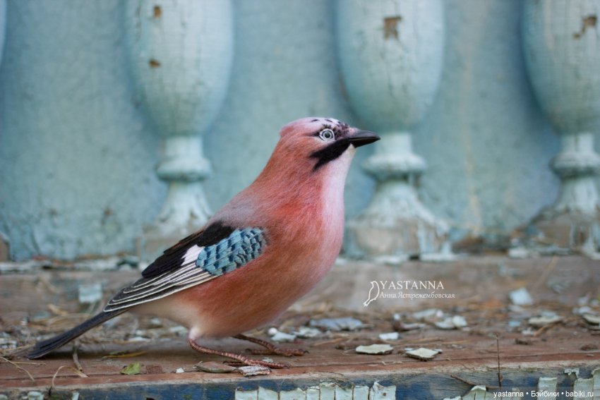 Сойка — Валяные игрушки из шерсти: сухое валяние (фото 10)