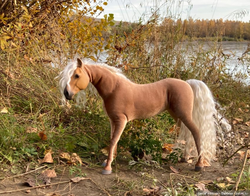 Соловая лошадка Метелька и моя любимая Пышка (фото 7)