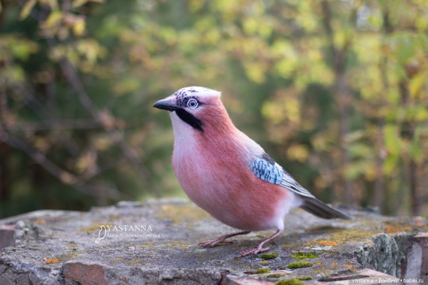 Сойка — Валяные игрушки из шерсти: сухое валяние (фото 6)