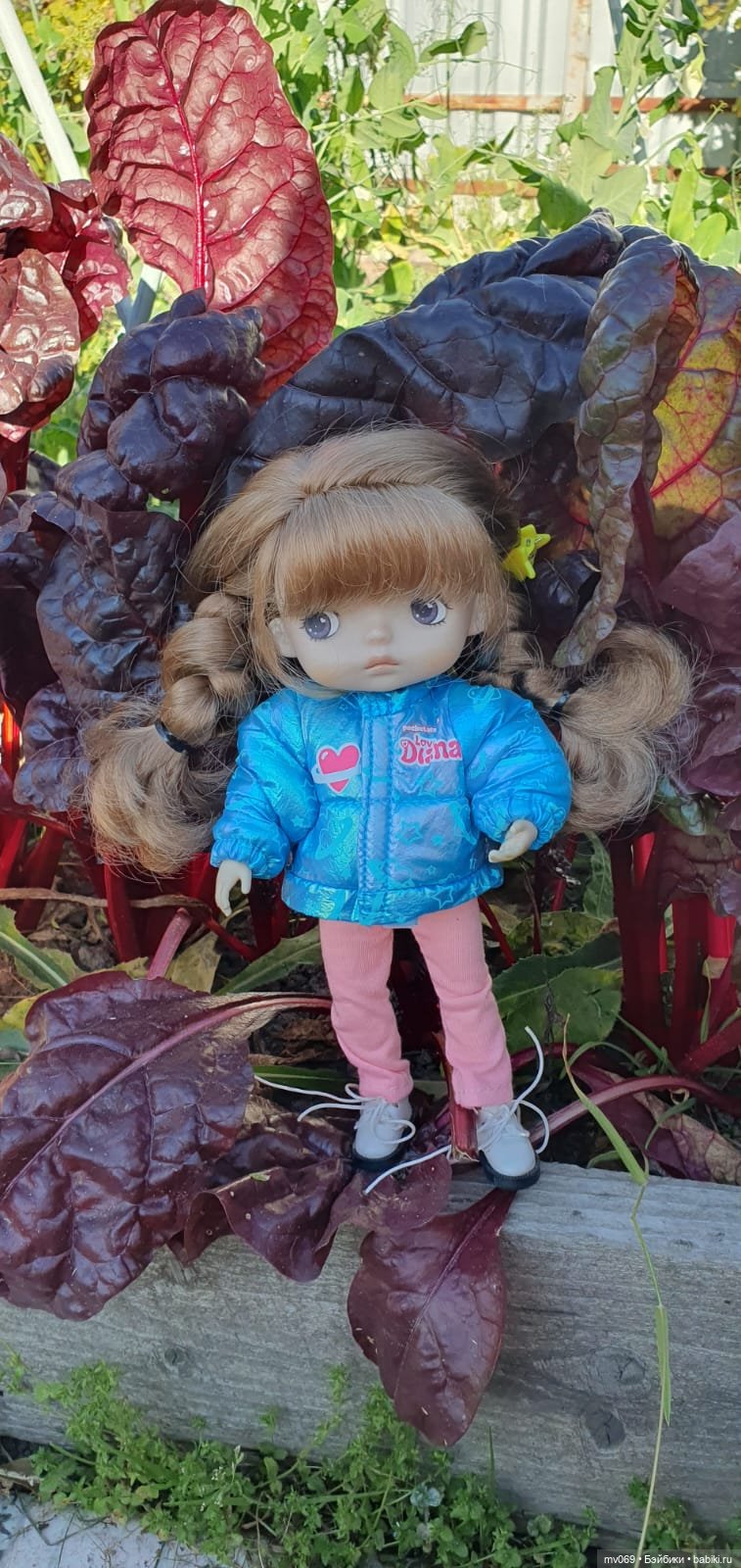 Как Симка ходила гулять — Куклы с Алиэкспресс (Aliexpress): Китайские шарнирные (фото 4)