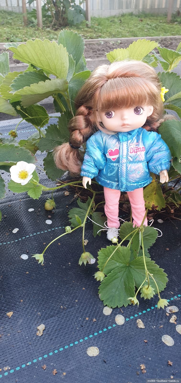 Как Симка ходила гулять — Куклы с Алиэкспресс (Aliexpress): Китайские шарнирные (фото 6)