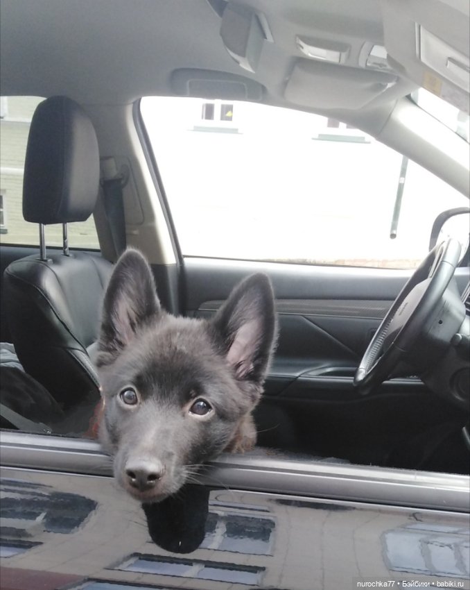 Про Нафочку. Прогулки по Перми, у Камы