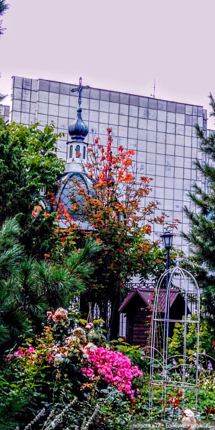 Про Нафочку. В другом городе