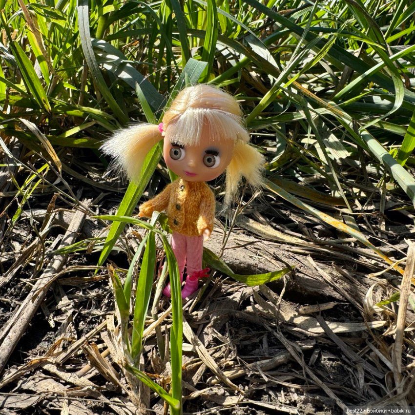 Мини Blythe 🍭 — Оригинальные куклы Blythe (Блайз): Takara