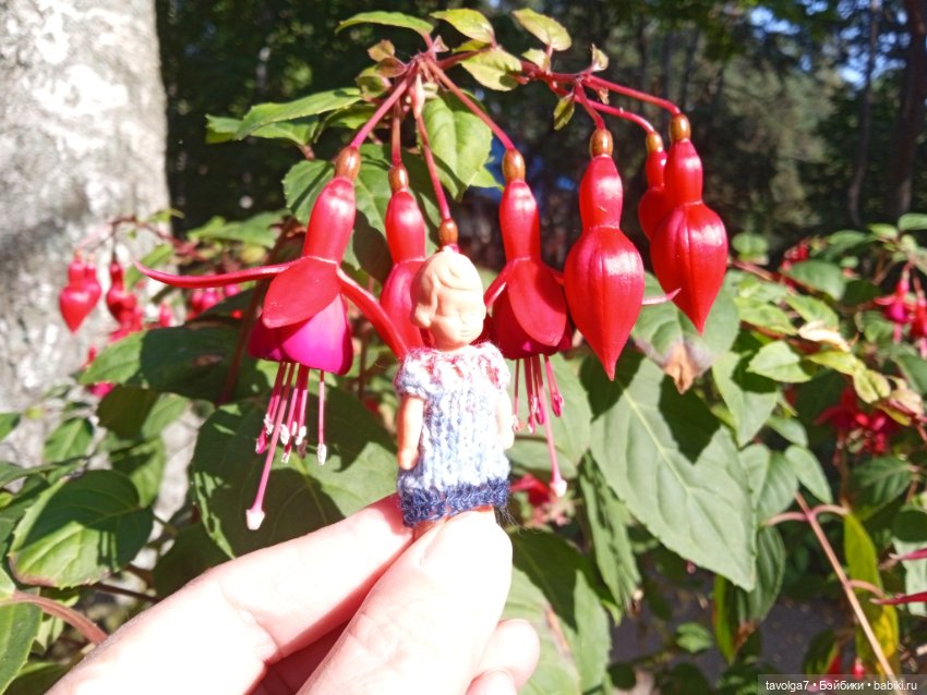 Утро в Светлогорске фуксия (фото 7)