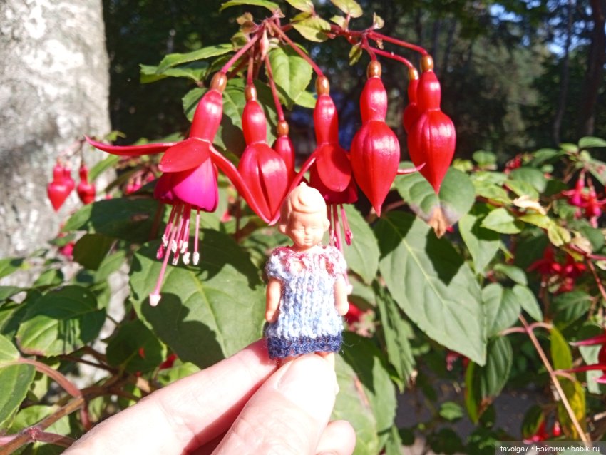 Утро в Светлогорске фуксия