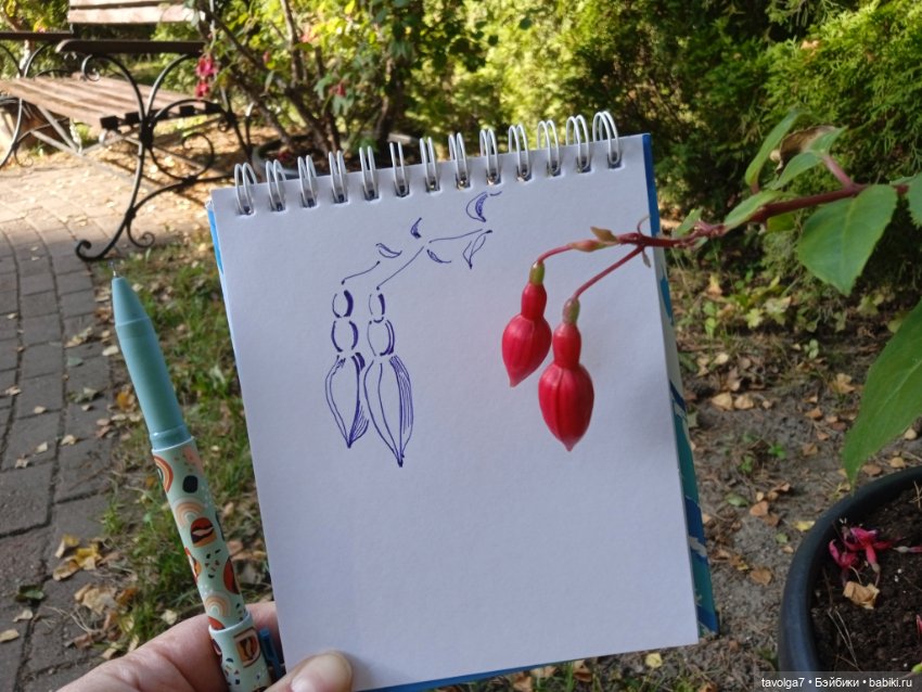 Утро в Светлогорске фуксия (фото 4)