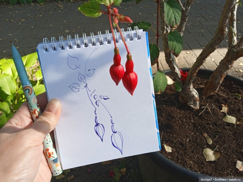 Утро в Светлогорске фуксия (фото 6)