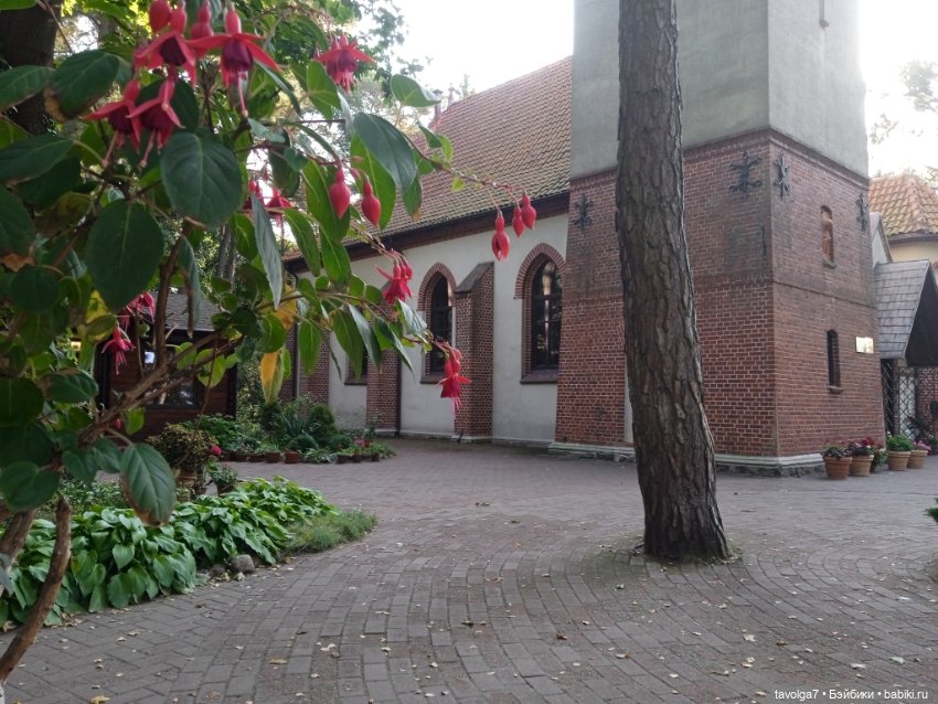 Утро в Светлогорске фуксия (фото 3)