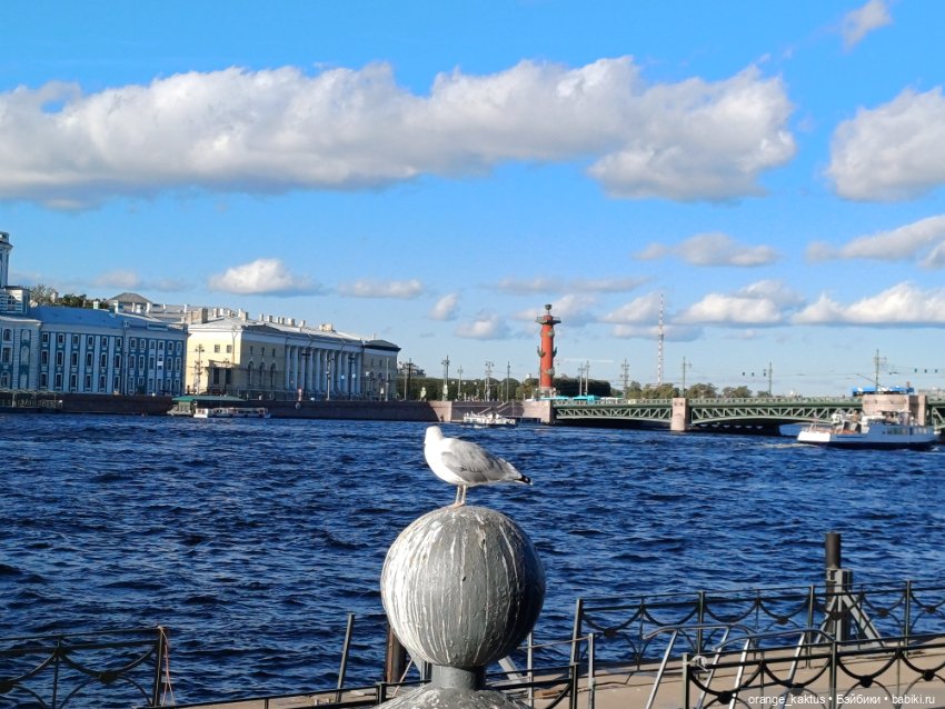 Сердцу не прикажешь — Гибриды шарнирных кукол (не БЖД): подбор тела (фото 3)