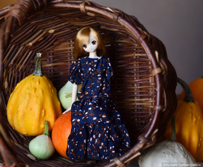 Фото-подборка: Дачный урожай