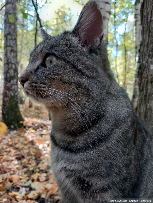 Называют меня некрасивым — Куклы Julie Good Kruger (Джулия Гуд Крюгер): винил