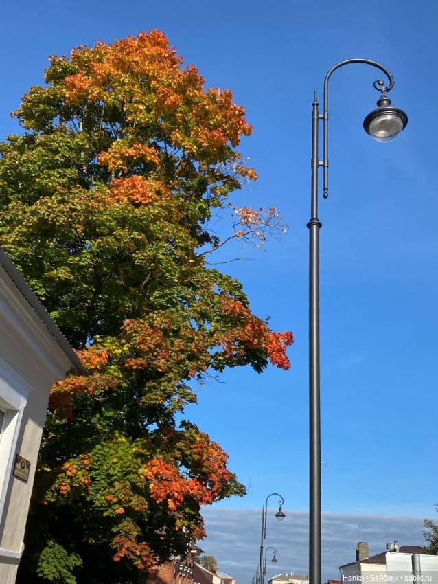 Карла и Кэрол — Куклы Paola Reina (Паола Рейна): новинки