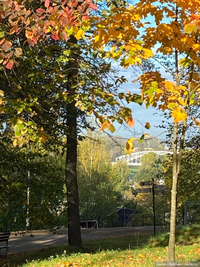 Карла и Кэрол — Куклы Paola Reina (Паола Рейна): новинки