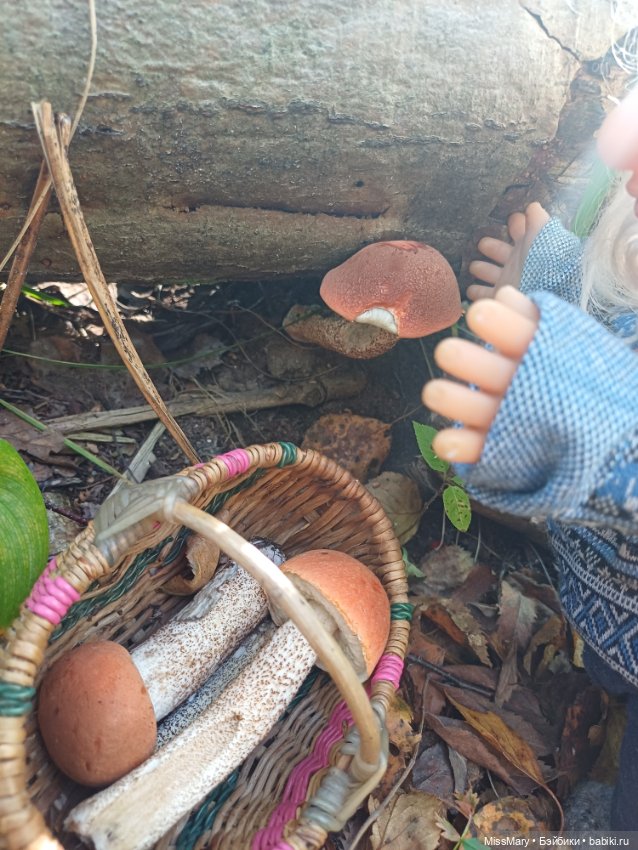 Как Иваныч по грибы ходил (фото 9)