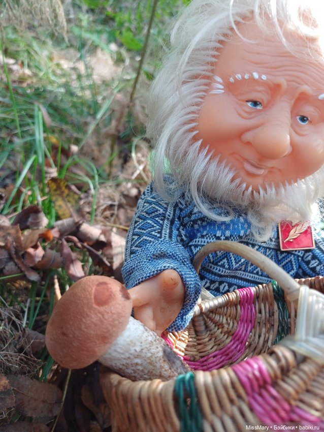 Как Иваныч по грибы ходил (фото 3)