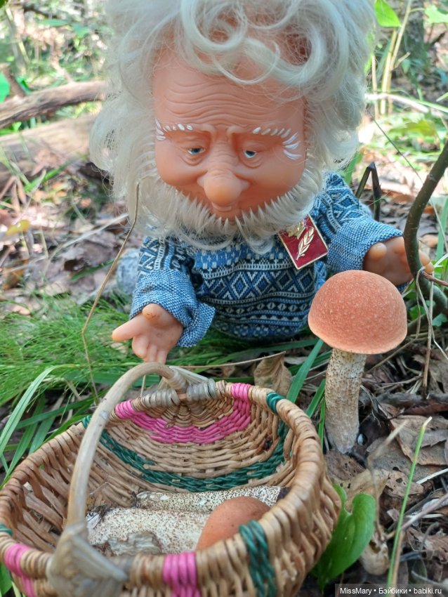 Как Иваныч по грибы ходил (фото 5)