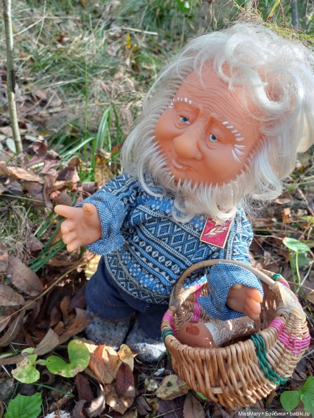 Как Иваныч по грибы ходил (фото 4)