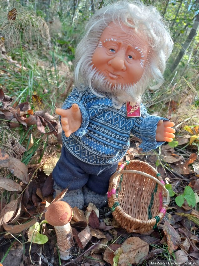 Как Иваныч по грибы ходил (фото 2)