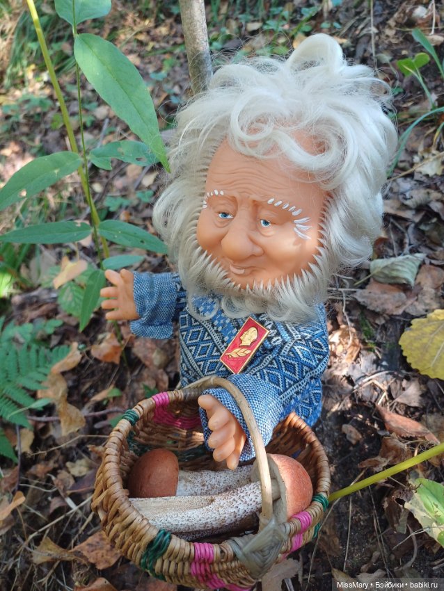 Как Иваныч по грибы ходил (фото 7)