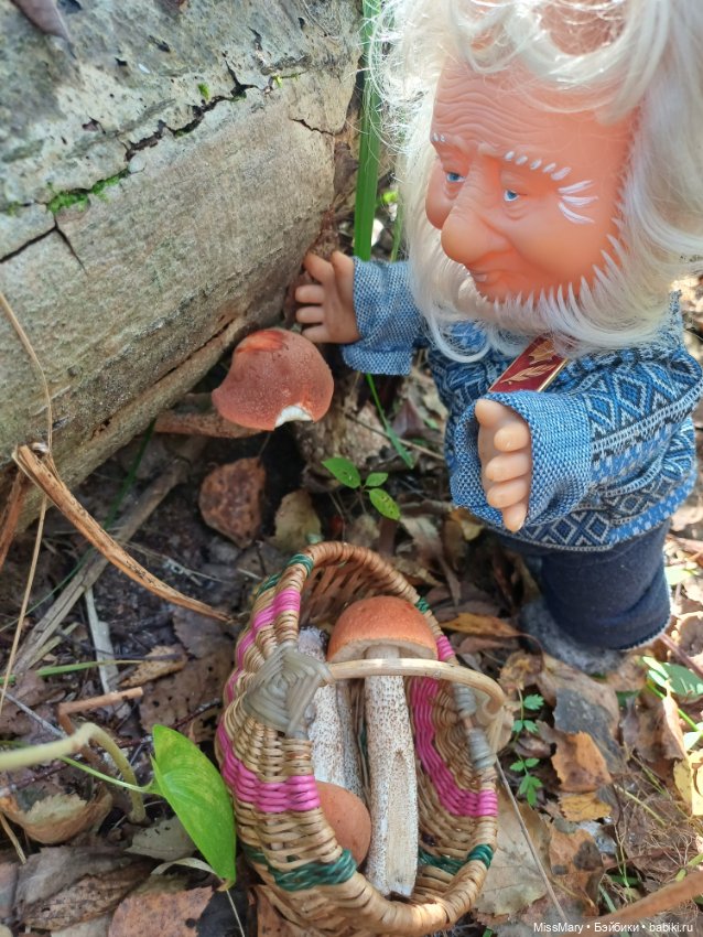 Как Иваныч по грибы ходил (фото 8)