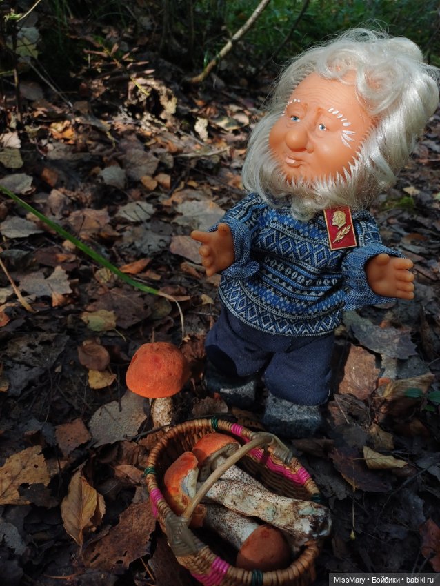 Как Иваныч по грибы ходил (фото 10)