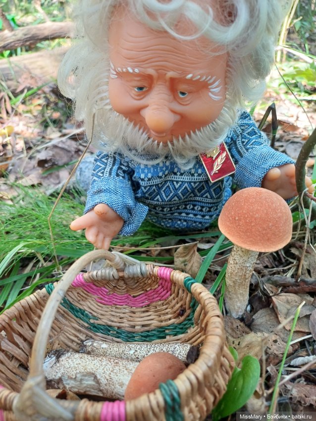 Как Иваныч по грибы ходил (фото 6)