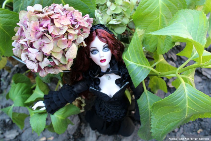 Пока ещё цветут розы — Куклы