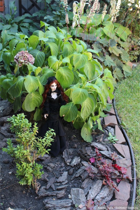 Пока ещё цветут розы — Куклы