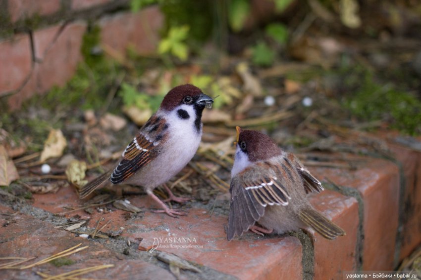 Воробышки — Валяные игрушки из шерсти: сухое валяние (фото 6)
