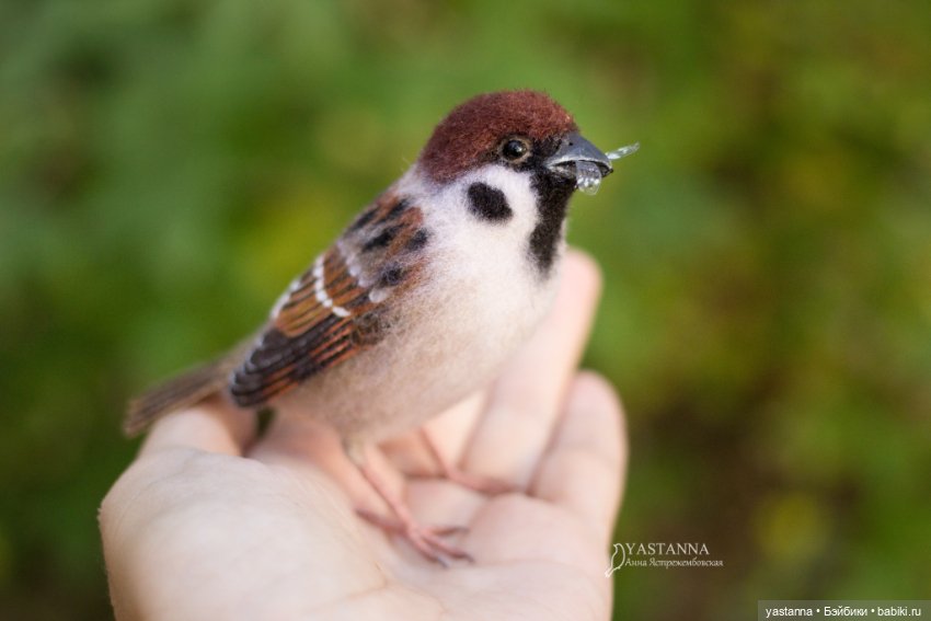 Воробышки — Валяные игрушки из шерсти: сухое валяние (фото 10)