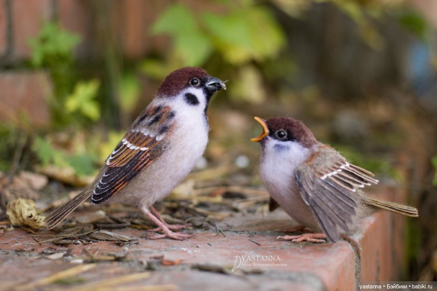 Воробышки — Валяные игрушки из шерсти: сухое валяние (фото 5)