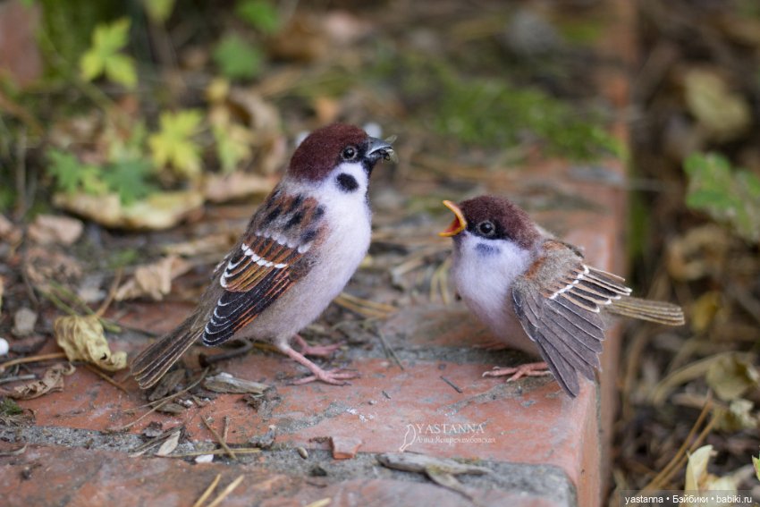 Воробышки — Валяные игрушки из шерсти: сухое валяние (фото 4)