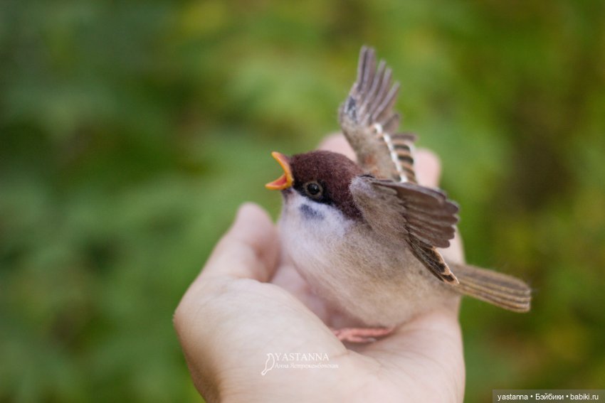 Воробышки — Валяные игрушки из шерсти: сухое валяние