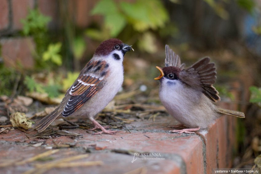 Воробышки — Валяные игрушки из шерсти: сухое валяние (фото 3)