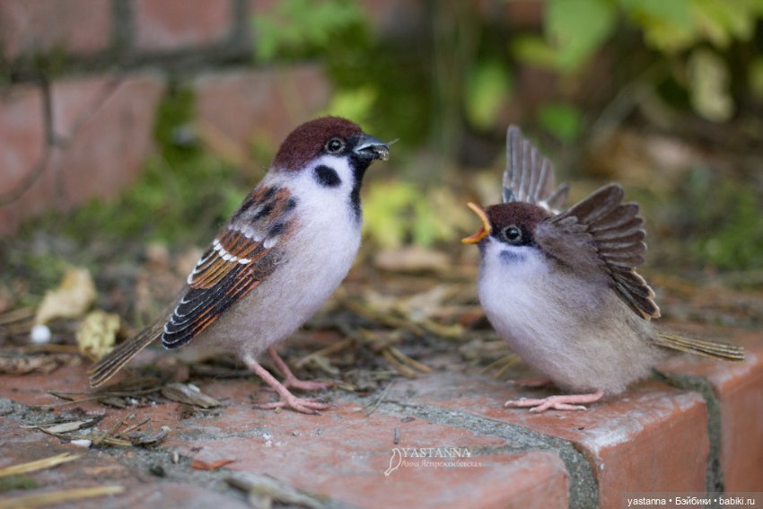Воробышки — Валяные игрушки из шерсти: сухое валяние