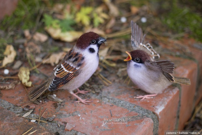 Воробышки — Валяные игрушки из шерсти: сухое валяние (фото 2)