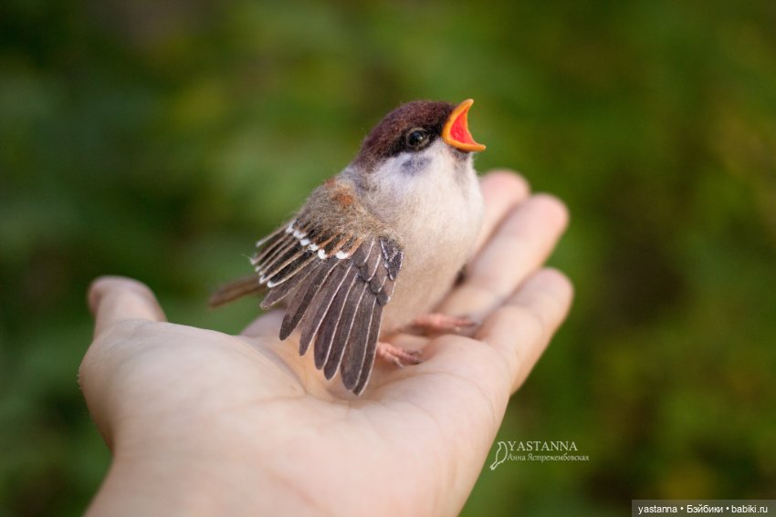 Воробышки — Валяные игрушки из шерсти: сухое валяние