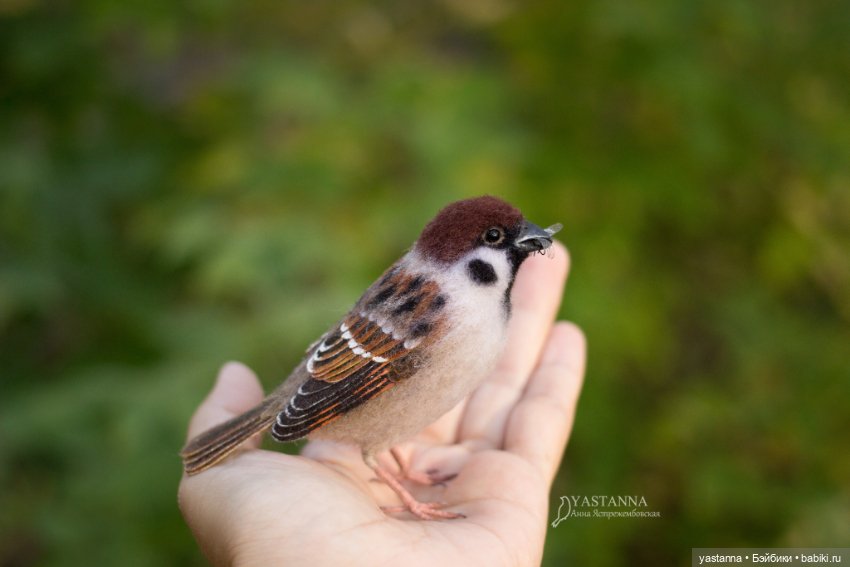 Воробышки — Валяные игрушки из шерсти: сухое валяние (фото 9)