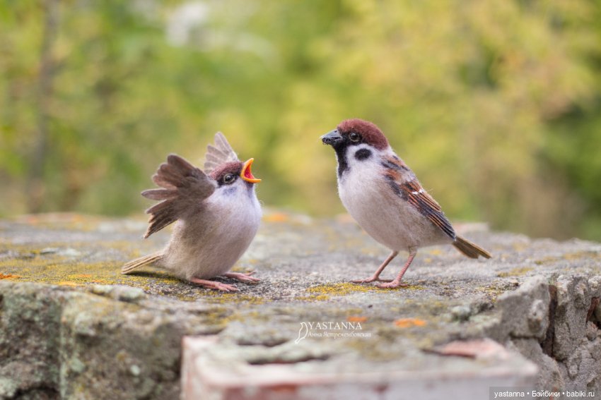 Воробышки — Валяные игрушки из шерсти: сухое валяние (фото 7)