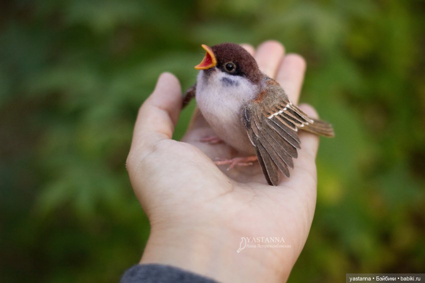 Воробышки — Валяные игрушки из шерсти: сухое валяние