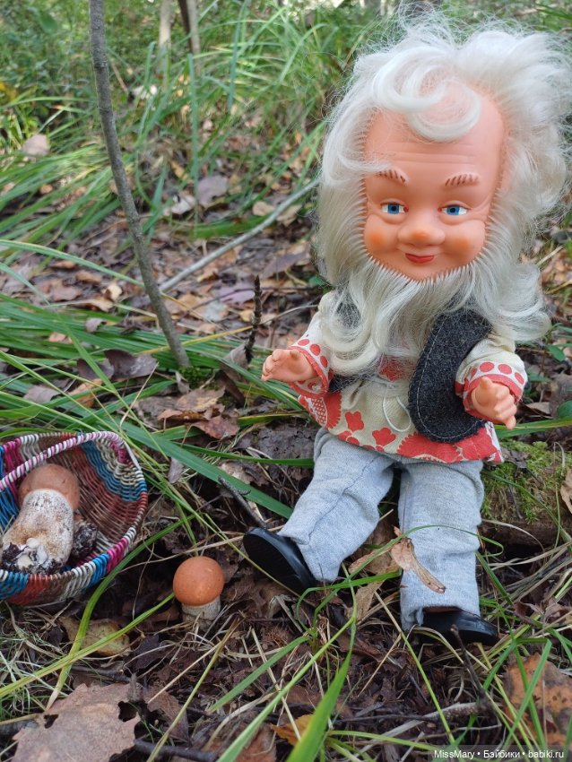 Как Петрович грибы собирал (фото 8)