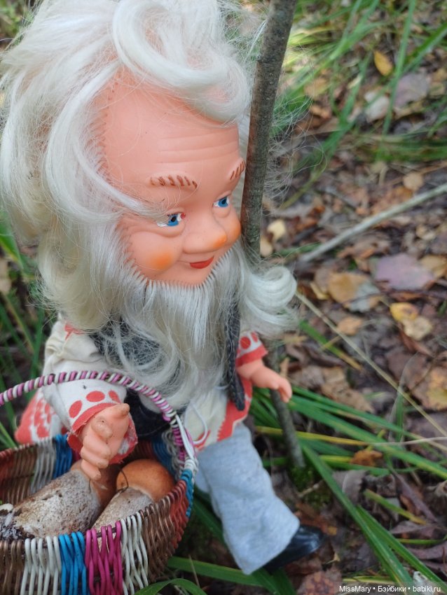 Как Петрович грибы собирал (фото 10)