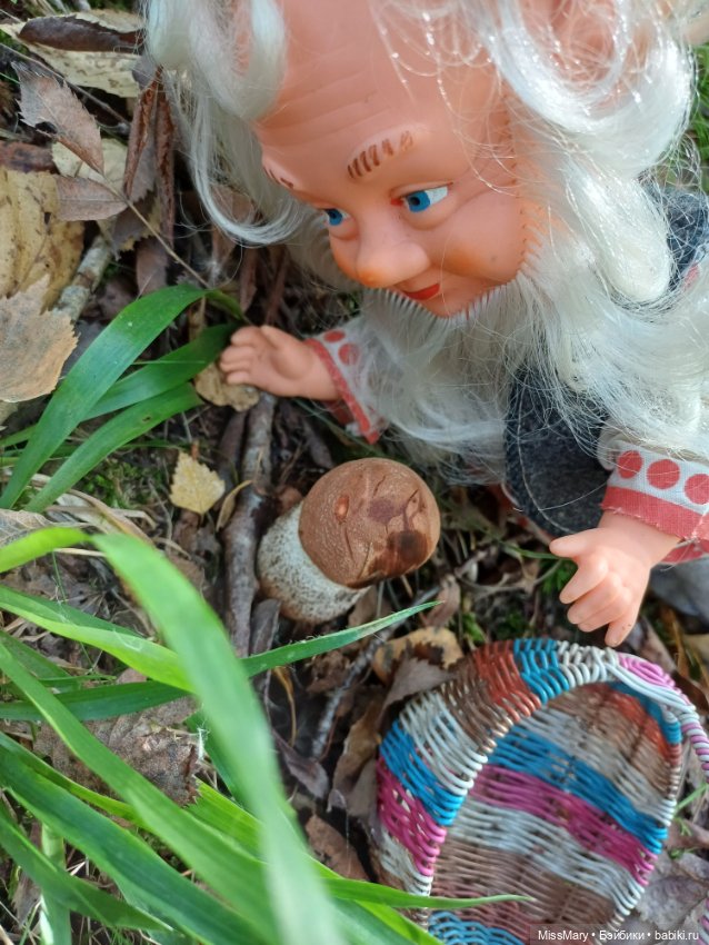 Как Петрович грибы собирал (фото 4)