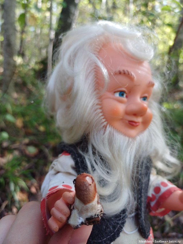 Как Петрович грибы собирал (фото 6)