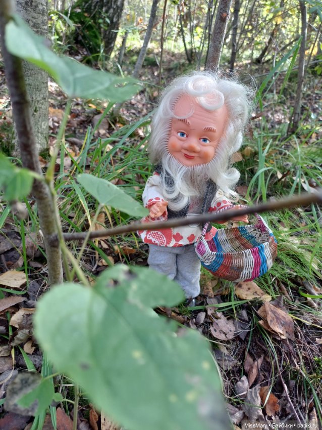 Как Петрович грибы собирал (фото 3)